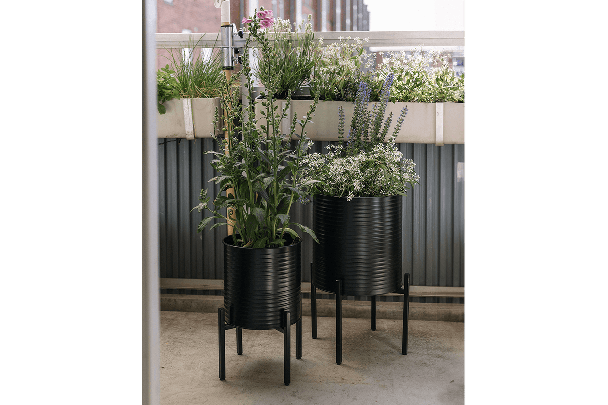 Rosa Rillo Blumentöpfe Set
