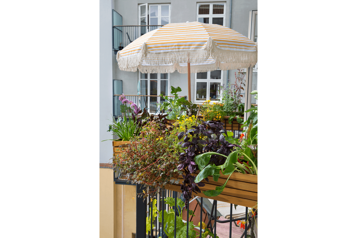 Maja Teak Balkonblumenkasten 40 / 60 / 80 cm