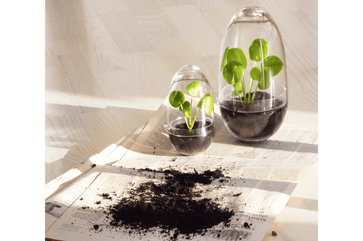 Grow Gewächshaus Design House Stockholm
