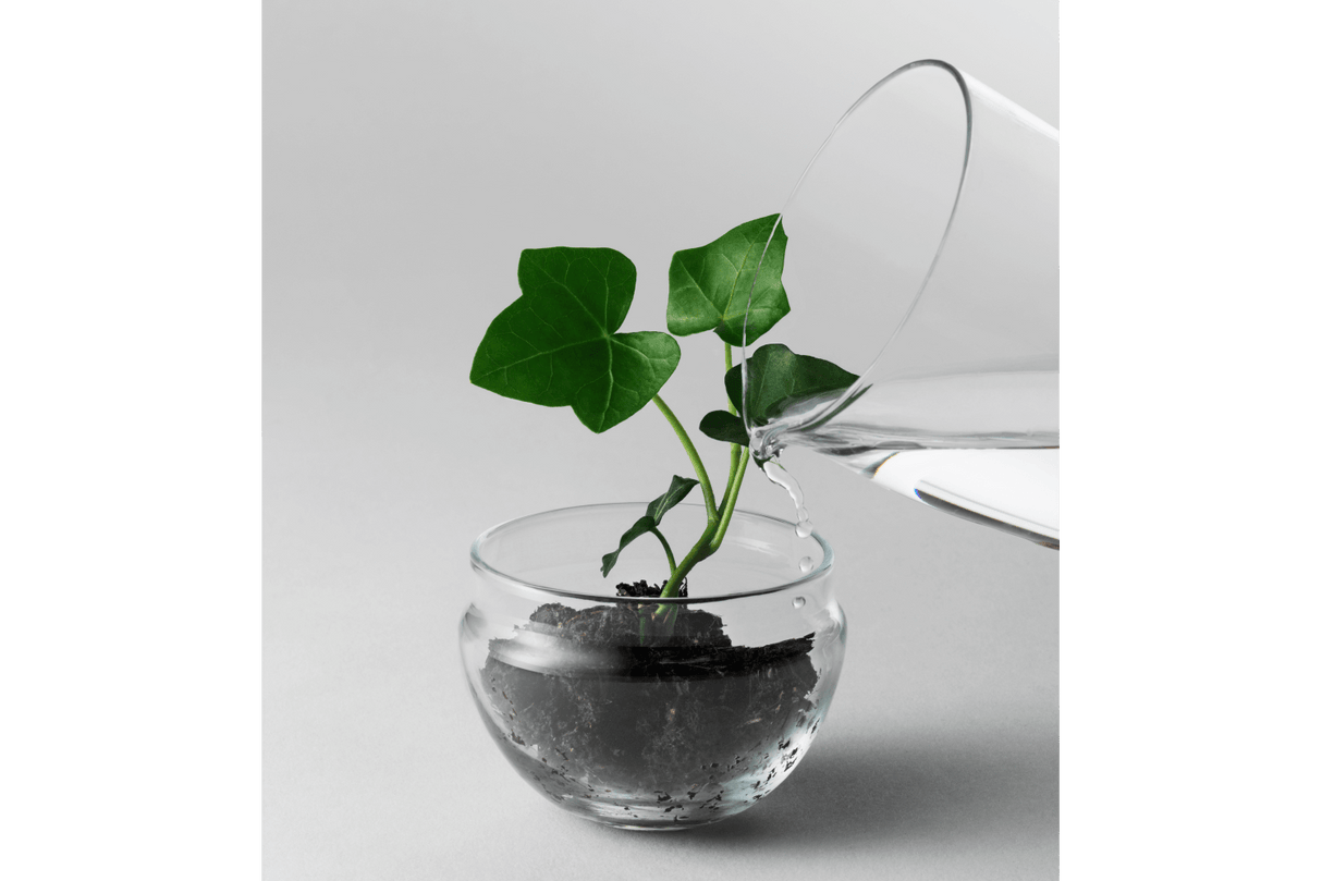 Grow Gewächshaus Design House Stockholm