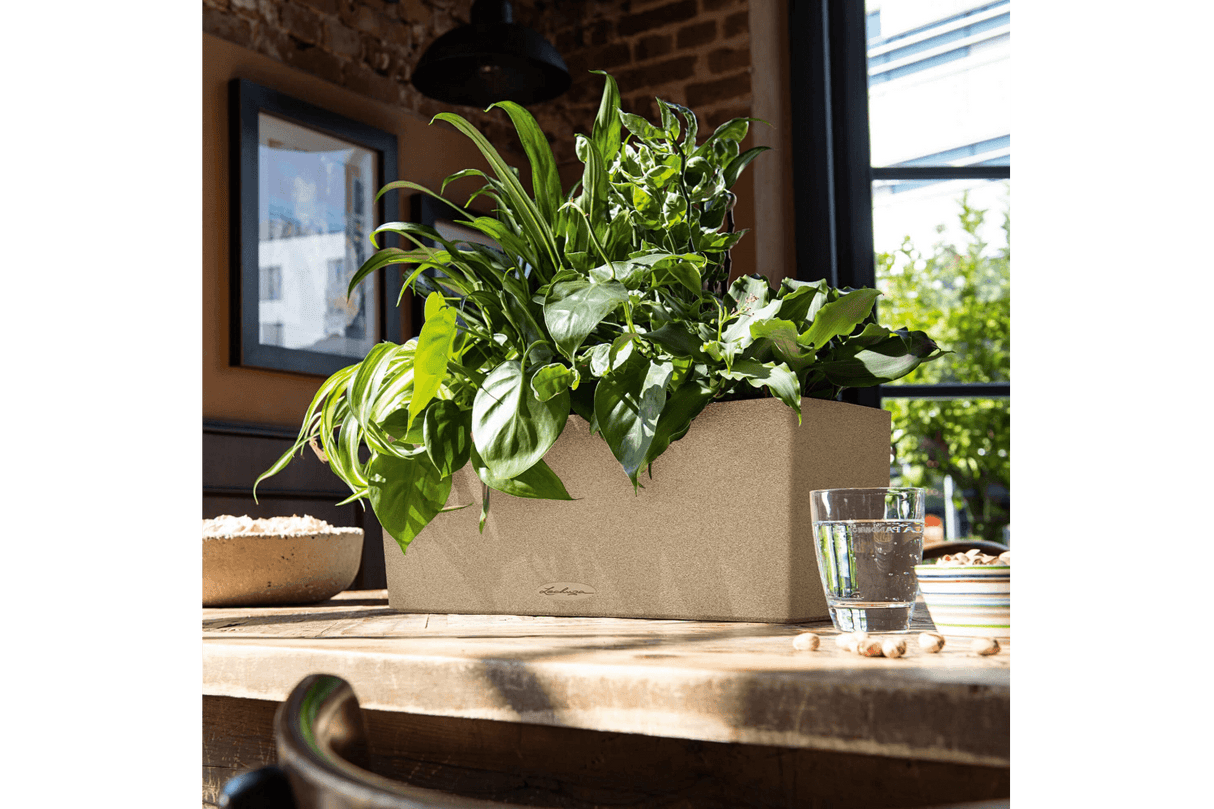 Stone Balkonblumenkasten mit Bewässerungssystem 50 cm