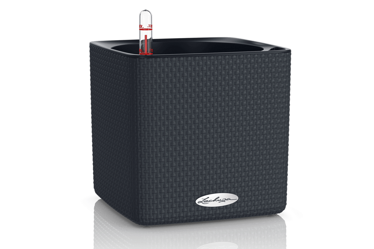 Cube Color 16 cm