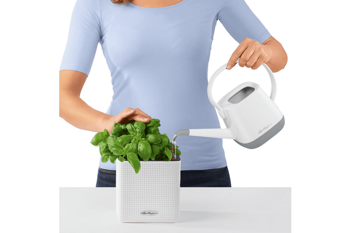 Green wall kit