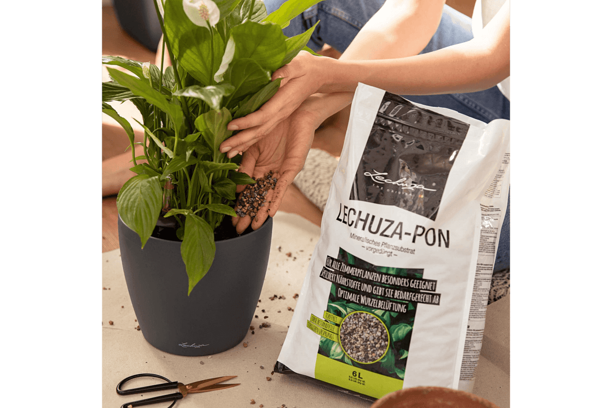 Pon Pflanzen Substrat 3 liter