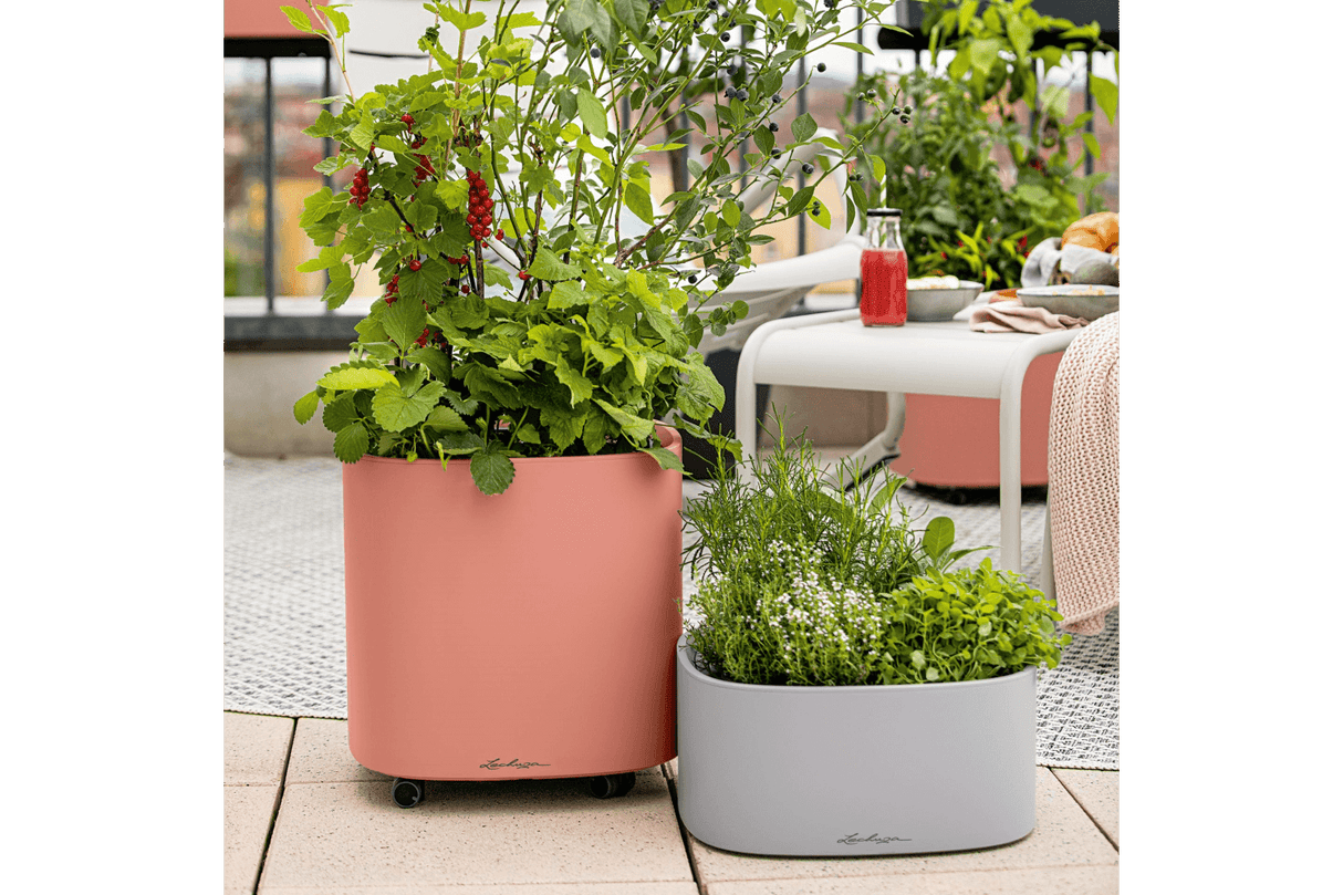 Pila color Pflanzgefäss für 4 Blumentopfe