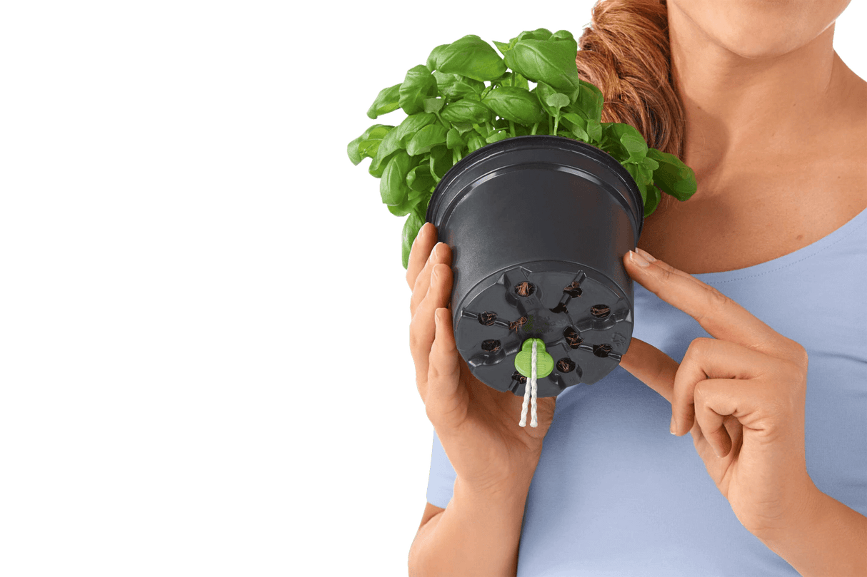 Lechuza Sticks für selbstbewässernde Töpfe