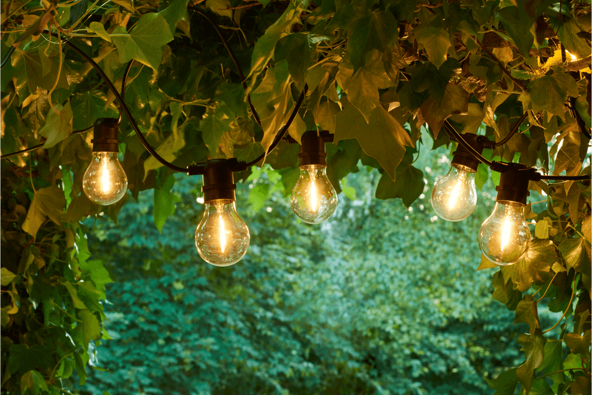 Tobias Starterset 10 klare Glühbirne