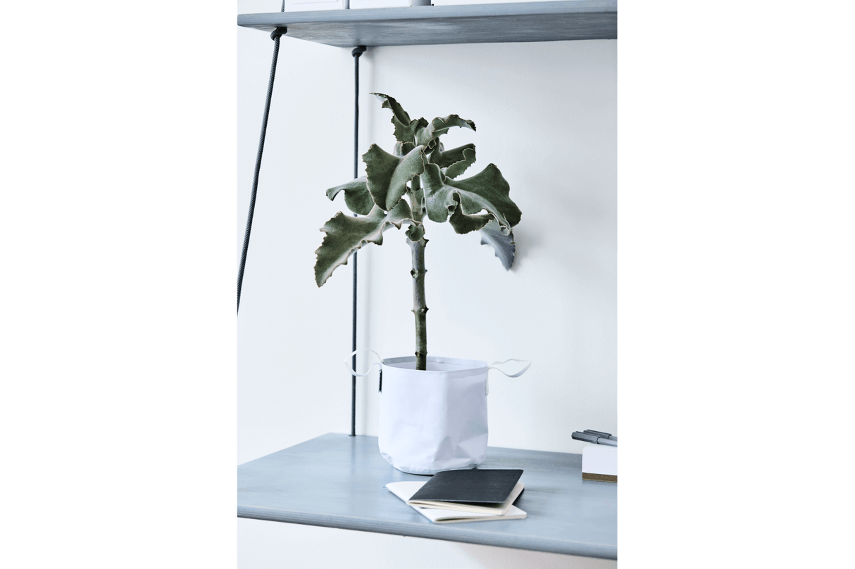 Vertikal hängende Blumentopfe für Wand und Decke