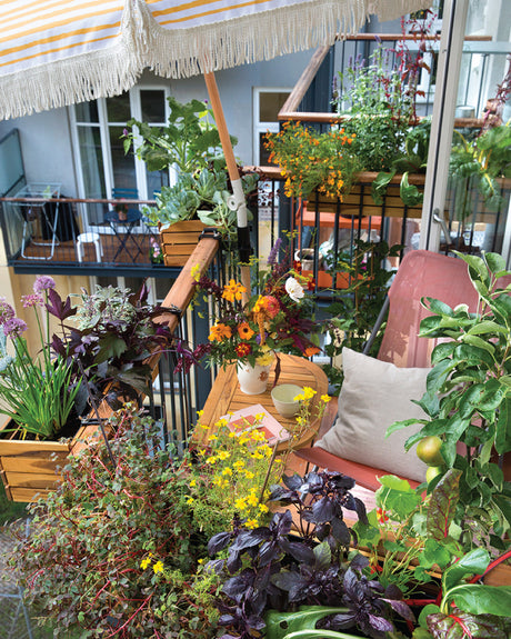 Frühling auf dem Balkon!