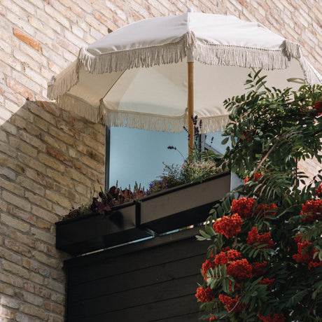 Was soll ich pflanzen, wenn mein Balkon die meiste Zeit des Tages im Schatten liegt?
