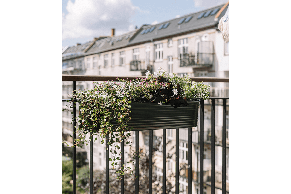 Olga dunkelgrun Balkonblumenkasten 60 cm