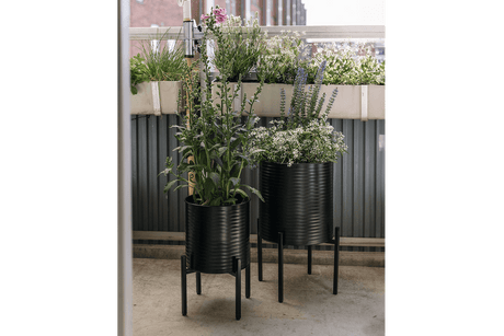 Rosa Rillo Blumentöpfe Set