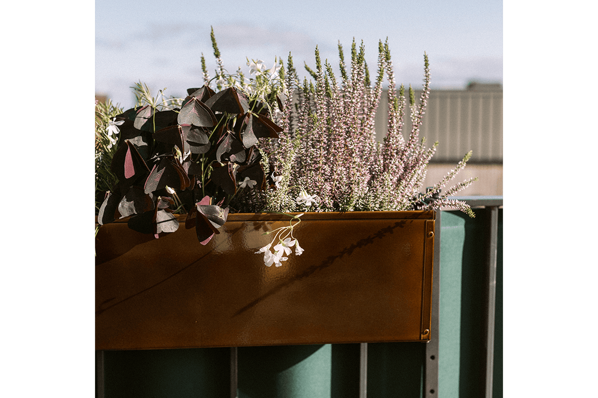 Liva kupfer Balkonblumenkasten 60 / 80 / 100 cm