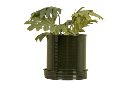 Rita Rillo Blumentopf Ø17 cm