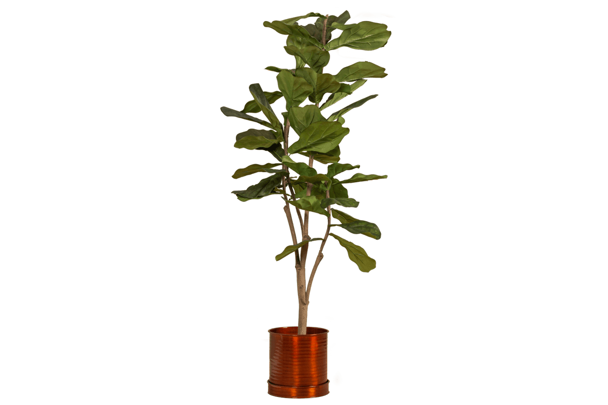 Rita Rillo blumetopf Ø22 cm