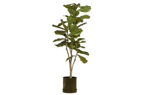 Rita Rillo blumetopf Ø22 cm