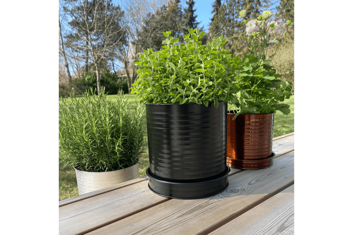 Rita Rillo blumetopf Ø22 cm