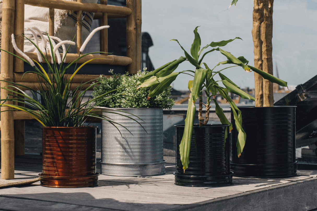 Rita Rillo blumetopf Ø22 cm