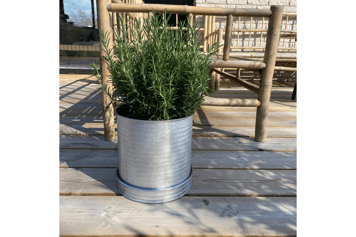 Rita Rillo blumetopf Ø22 cm