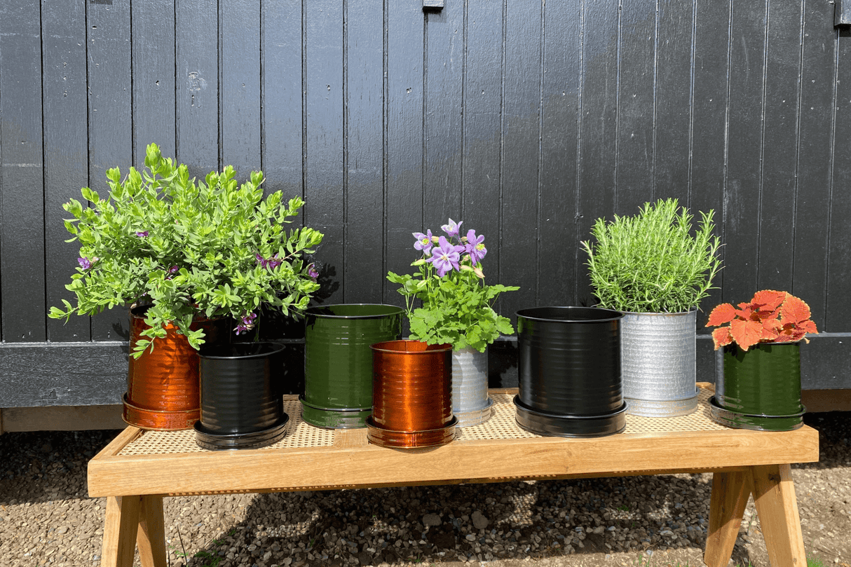 Rita Rillo blumetopf Ø22 cm