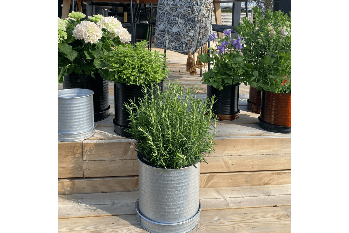 Rita Rillo blumetopf Ø22 cm
