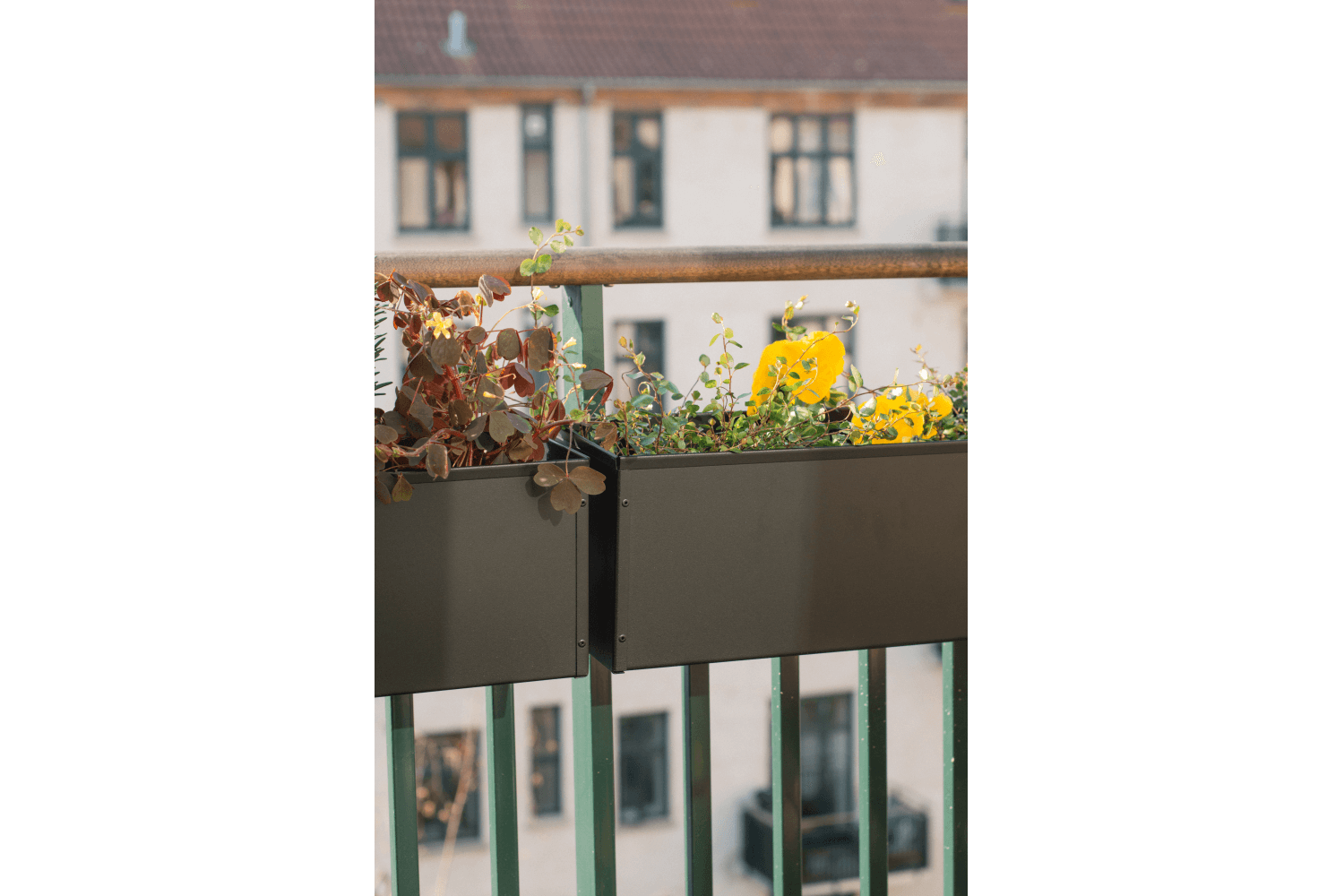 Liva Balcony Box, schwarz - 60 /80 /100 cm –