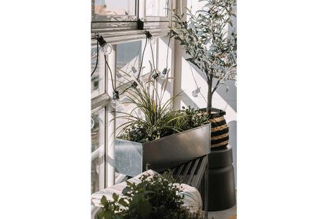 Liva Balkonblumenkasten aus verzinktem Eisen ohne Halterung 60 / 80 / 100 cm