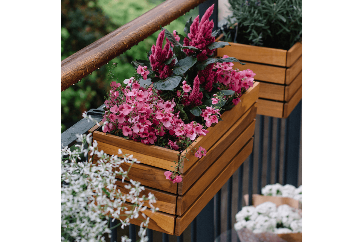 Maja Teak Balkonblumenkasten 40 / 60 / 80 cm