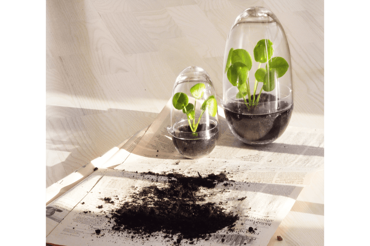 Grow Gewächshaus Design House Stockholm