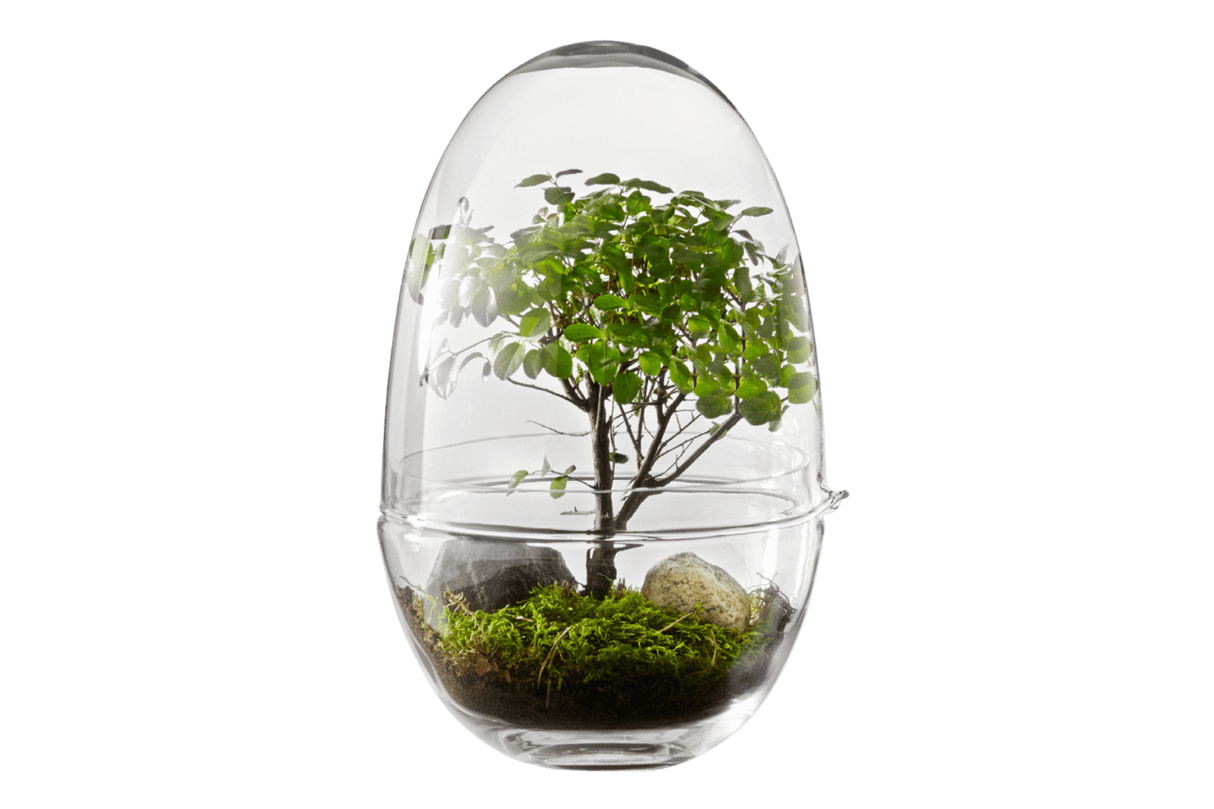 Grow Gewächshaus Design House Stockholm