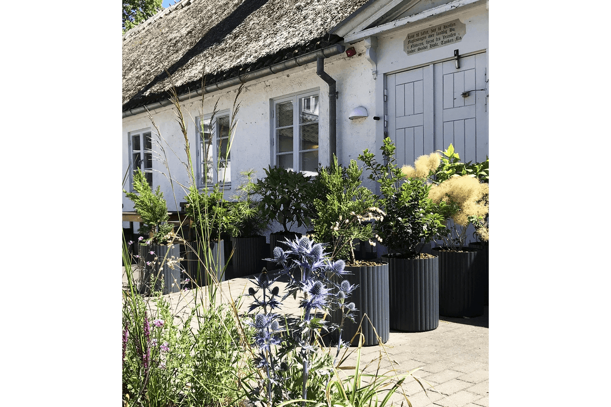 Klimablumentopf von Urbangaarden