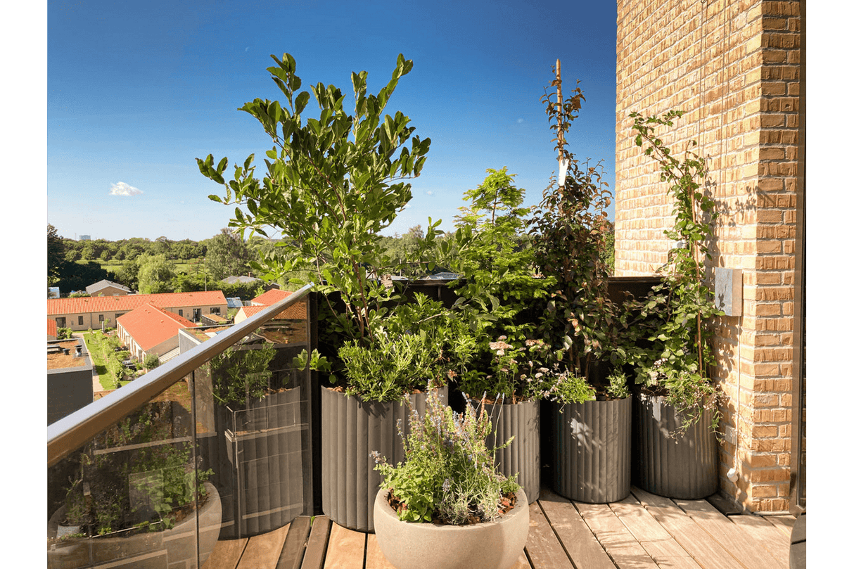 Klimablumentopf von Urbangaarden