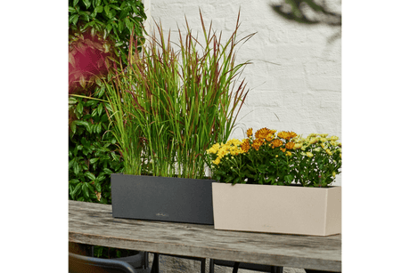 Stone Balkonblumenkasten mit Bewässerungssystem 50 cm