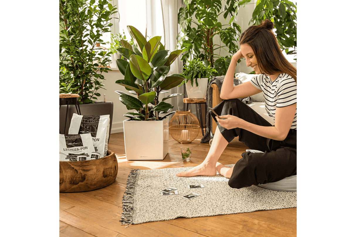 Pon Pflanzen Substrat 3 liter