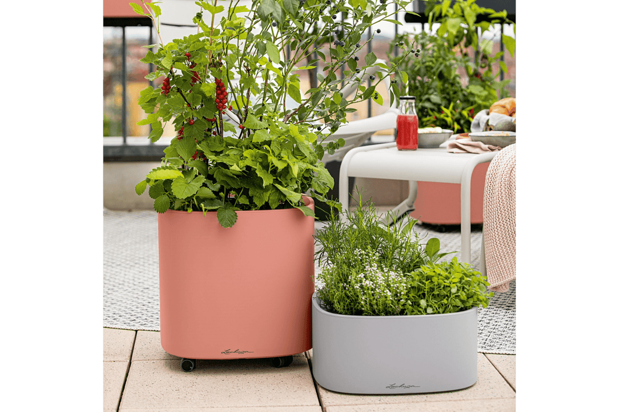 Pila color Pflanzgefäss für 4 Blumentopfe