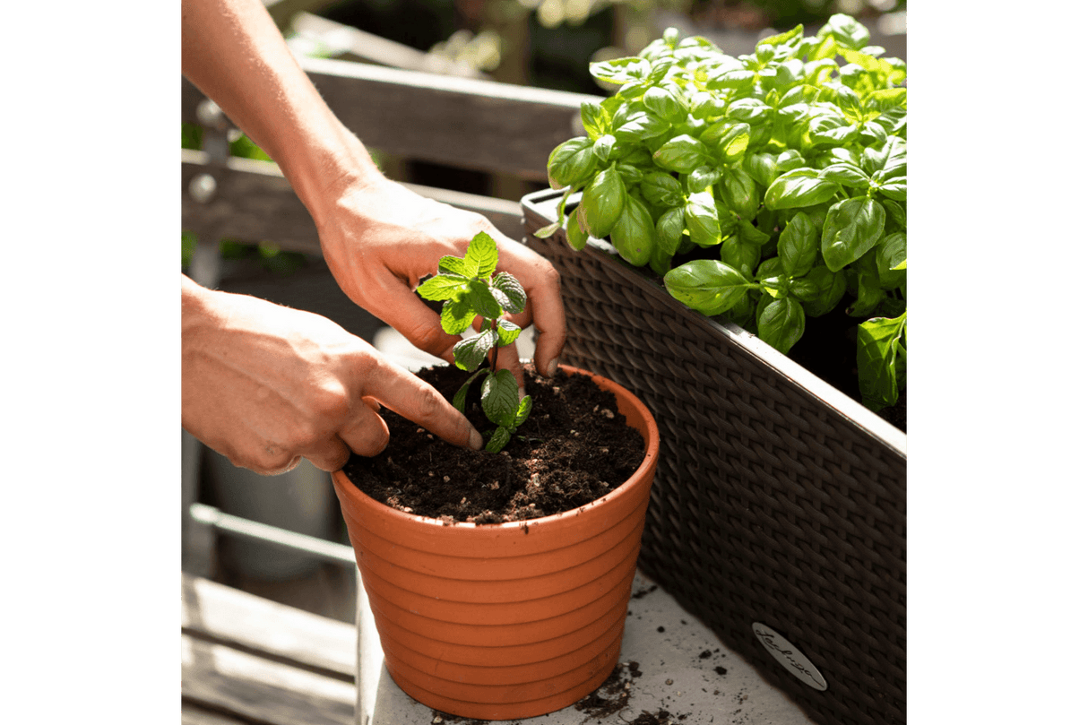 Veggiepon Pflanzen Substrat 6 liter