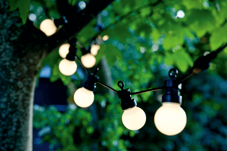 Lucas Starterset 10 matte Glühbirne