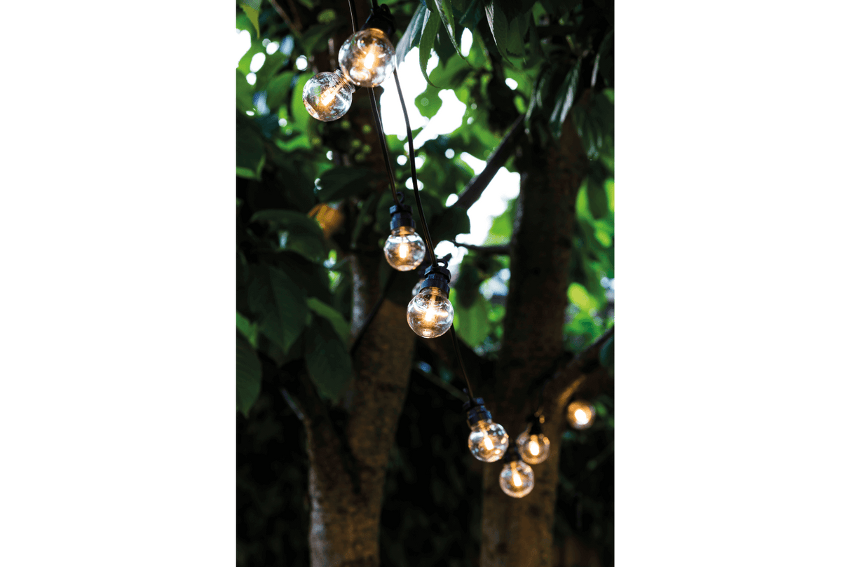 Lucas Starterset 10 klare Glühbirne