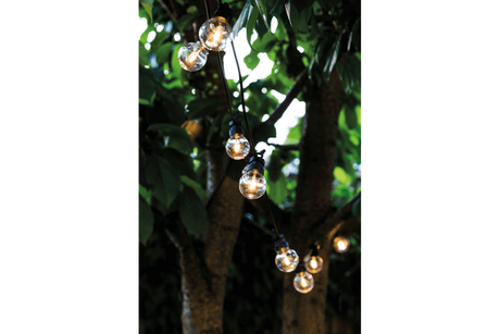 Lucas Starterset 10 klare Glühbirne