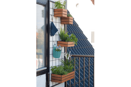 Mille Teakholzkiste für Gitter 30 x 17 cm