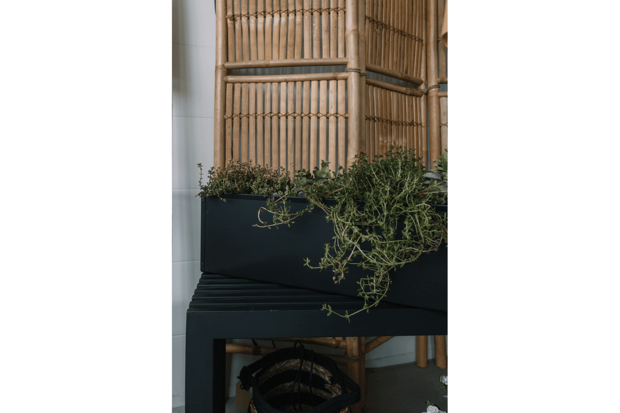 Sofie schwarz Balkonblumenkasten ohne Halterung 60 / 80 cm