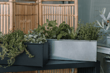 Sofie schwarz Balkonblumenkasten ohne Halterung 60 / 80 cm