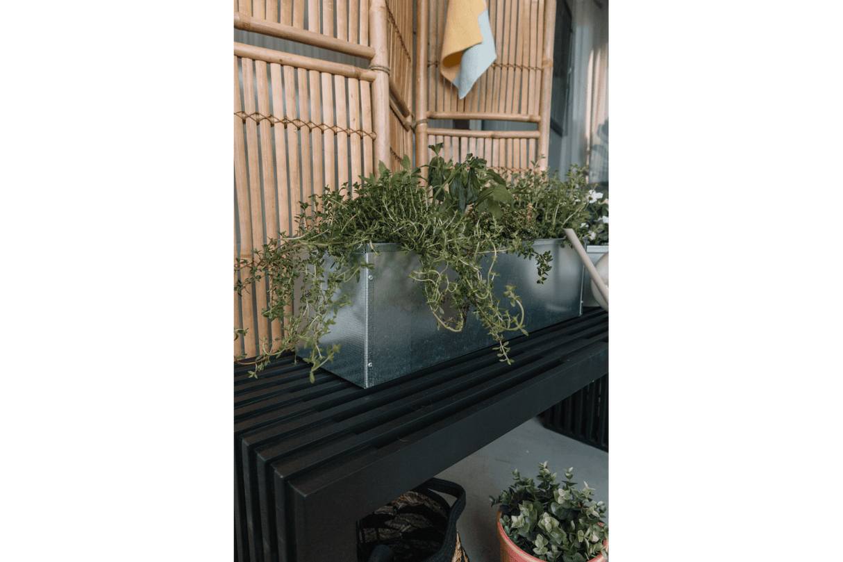Sofie zink Balkonblumenkasten ohne Halterung 60 cm