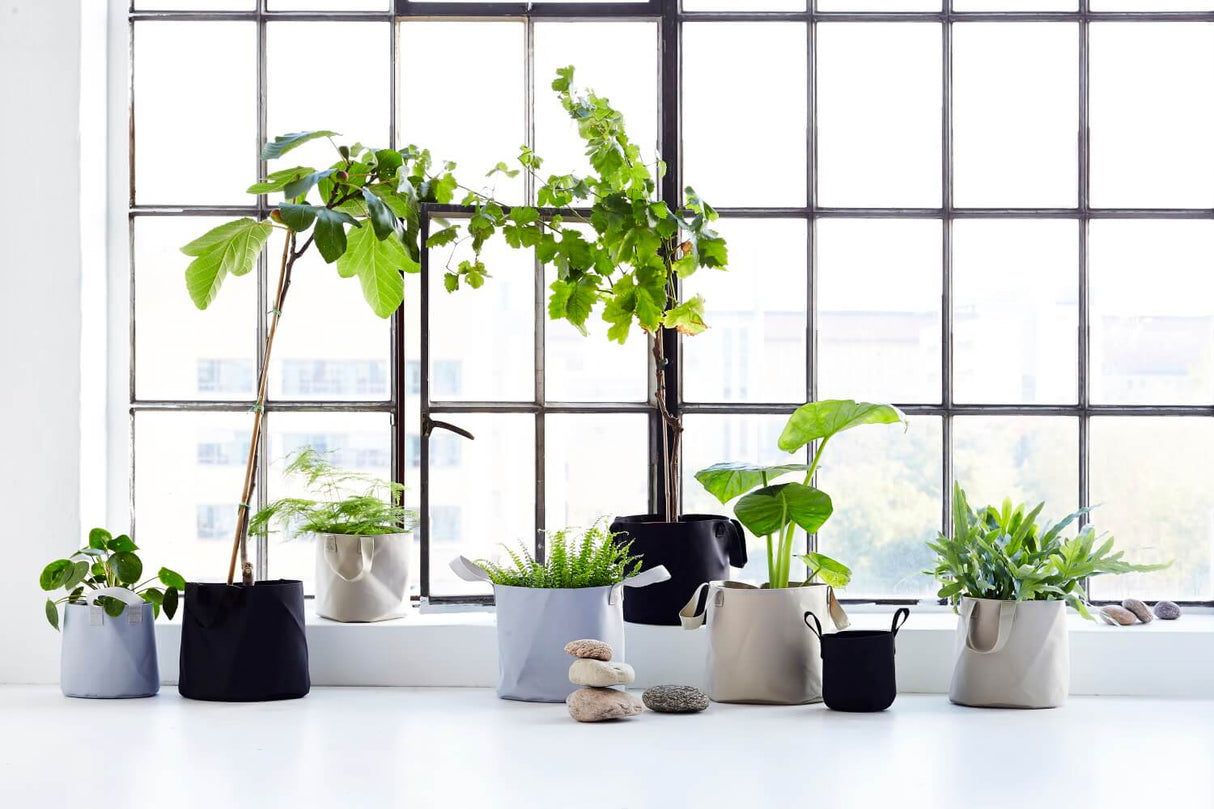 Vertikal hängende Blumentopfe für Wand und Decke